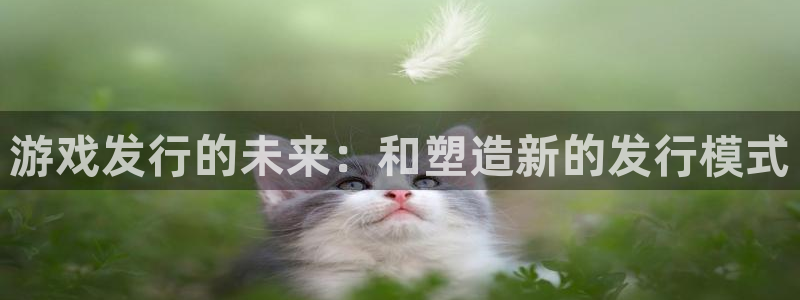 广州杏耀网络科技有限公司招聘：游戏发行的未来：和塑造新的发行模式