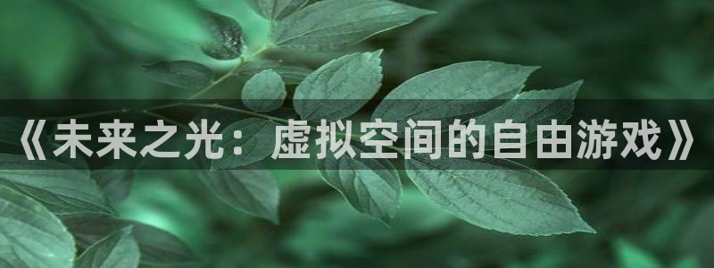 杏耀品牌服装：《未来之光：虚拟空间的自由游戏》