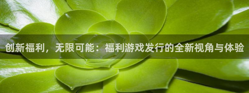 杏耀官网的奇趣腾讯是真的吗知乎：创新福利，无限可能：福利游戏发行的全新视角与体验