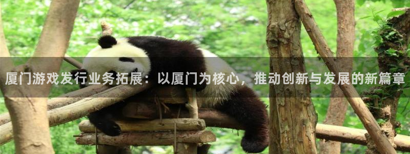苏州杏耀网络科技有限公司：厦门游戏发行业务拓展：以厦门为核心，推动创新与发展的新篇章