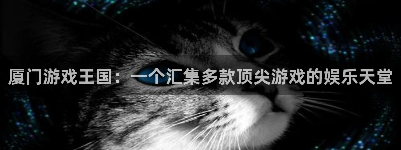 杏耀子写作课：厦门游戏王国：一个汇集多款顶尖游戏的娱乐天堂