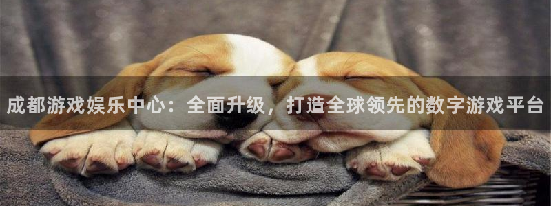 杏耀子文化是什么：成都游戏娱乐中心：全面升级，打造全球领先的数字游戏平台