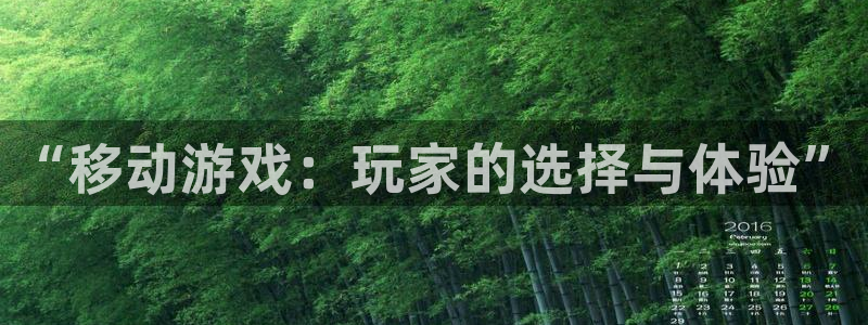 杏耀是什么：“移动游戏：玩家的选择与体验”