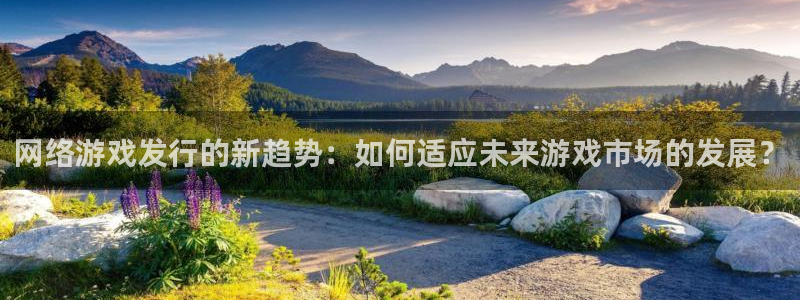 广州杏耀网络科技有限公司怎么样：网络游戏发行的新趋势：如何适应未来游戏市场的发展？