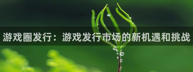 杏耀官网游戏平台介绍：游戏圈发行：游戏发行市场的新机遇和挑战