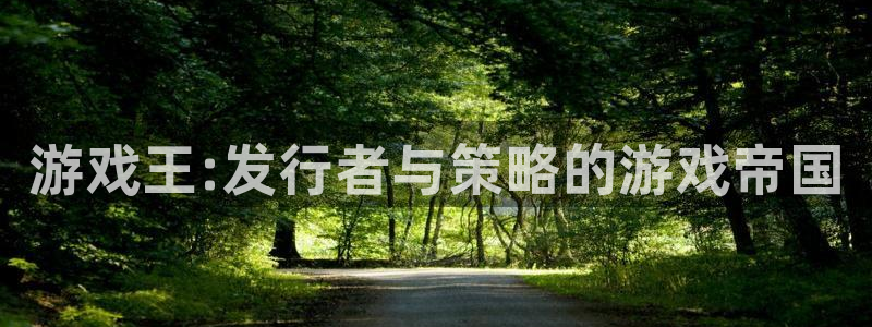 杏耀官网注册平台合法吗?：游戏王:发行者与策略的游戏帝国