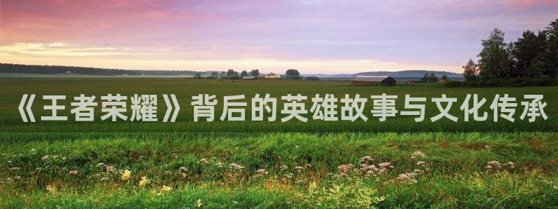 杏耀价格