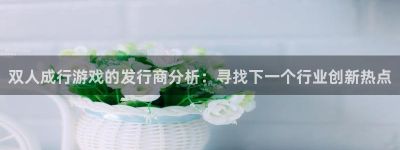 杏耀官网登录注册账号：双人成行游戏的发行商分析：寻找下一个行业创新热点
