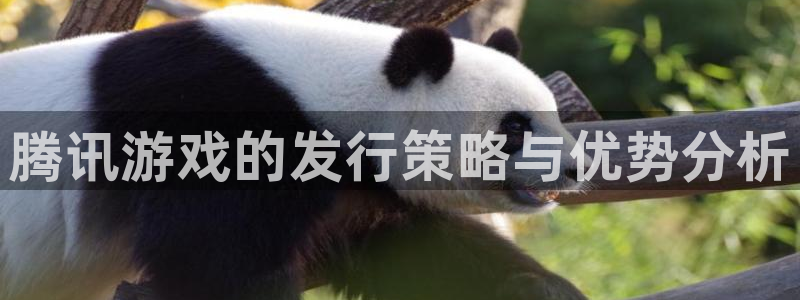 广州杏耀网络科技有限公司