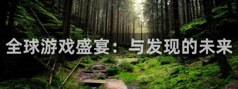 广州杏耀网络科技有限公司怎么样