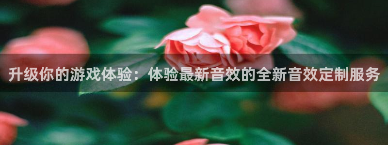 四川杏耀科技有限公司招聘