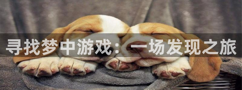 江苏杏耀智得新材料：寻找梦中游戏：一场发现之旅